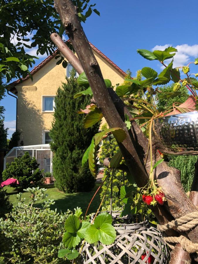 Pension Haus Bielke Берлин Экстерьер фото